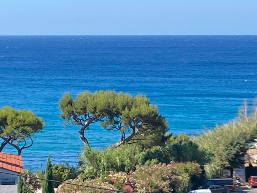 Face à la mer, Cassis et son Cap Canaille Extérieur photo